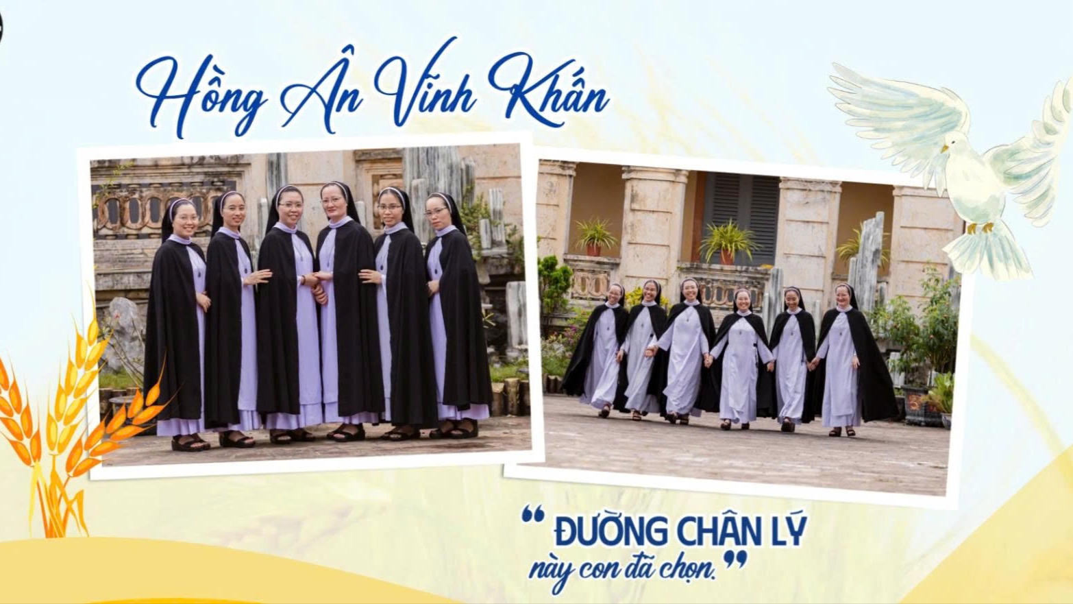 Hiệp hội Đaminh Mẫu Tâm Hải Phòng: Video giới thiệu quý Sơ sẽ được tuyên khấn trọn đời ngày 25/06/2025